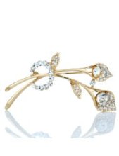 亞馬遜胸針 點綴時尚的微型藝術(shù)品